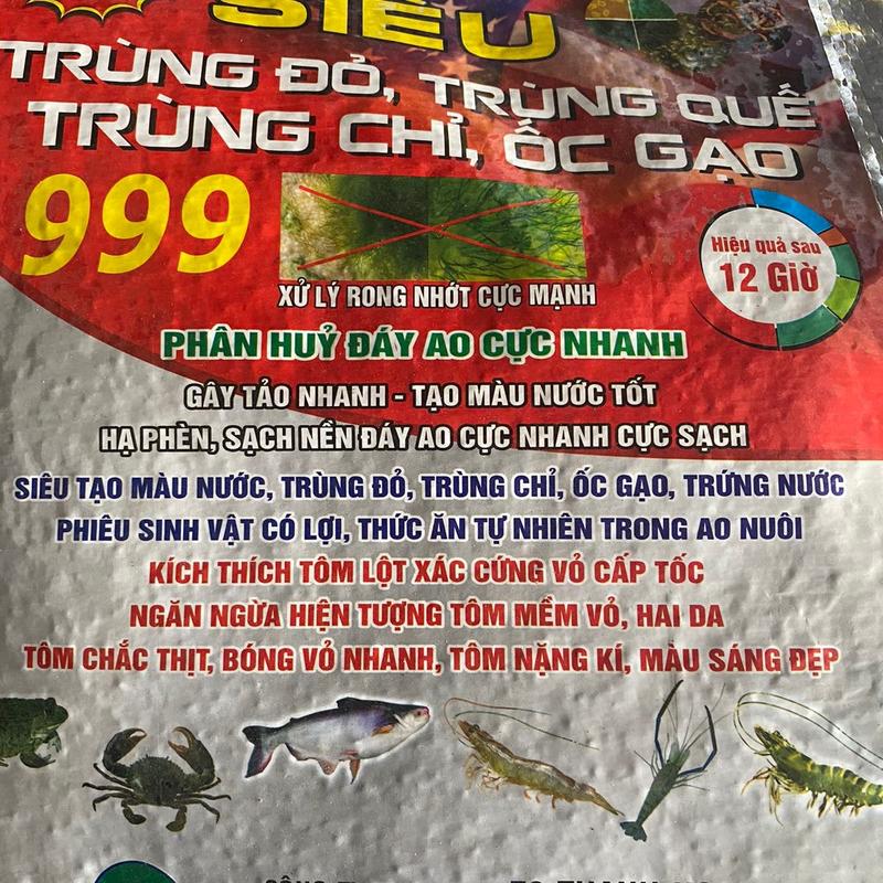 Siêu trùn chỉ ốc gạo túi 10kg tạo nguồn thức ăn tự nhiên cho tôm cá