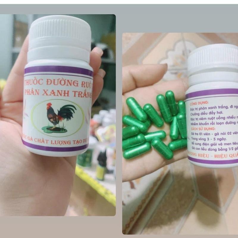 THUỐC ĐƯỜNG RUỘT- PXPT đặc trị #đi_ỉa_phân_xanh_trắng  trị chướng diều, đầy hơi, uống nhiều nước , ăn cát   viêm ruột, nhiễm khuẩn đường ruột  sốt bỏ ăn, tụ huyết trùng