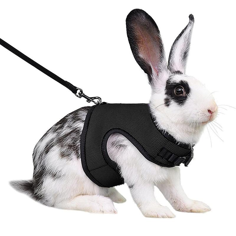 Product Introduction of Adjustable Soft Harness with Elastic Leash for Rabbits Harness Bunny Vest Harness Suit for Ferret Kittn Puppy Small Animals Pets 18