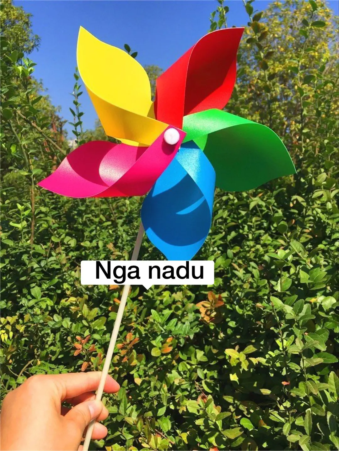 Chong chóng nhựa 4 cánh 5 cánh nhiều màu cao cấp - chong chóng trang trí giá rẻ trường học, mầm non, khu vui chơi, siêu thị
