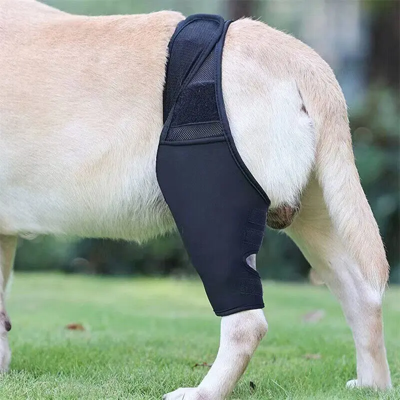 Nẹp Đầu Gối Cho Chó Cưng, Để Bong Gân Và Viêm Khớp, Hỗ Trợ Nẹp Chân Sau, Cho Chó, Giảm Đau Khớp 7