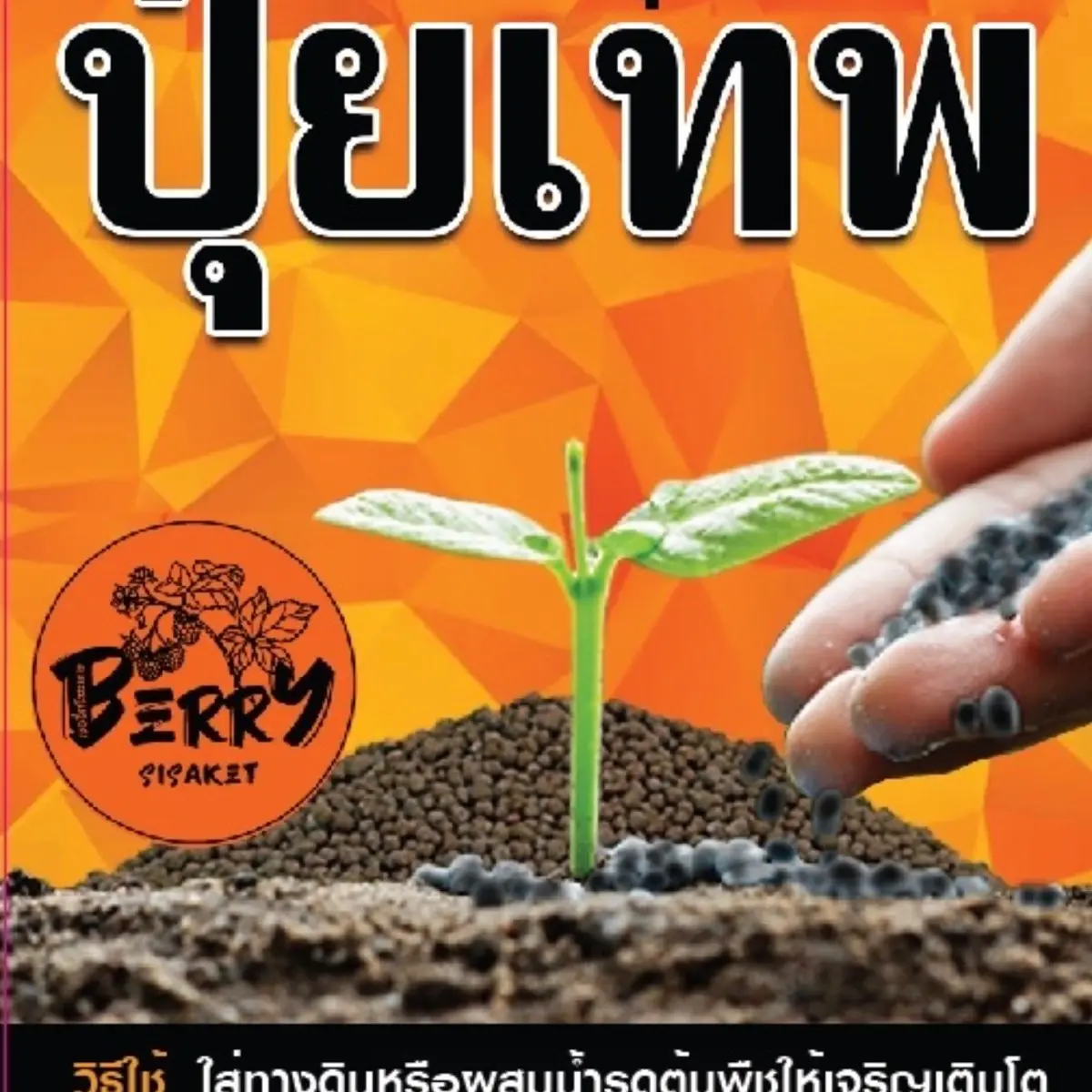 ปุ๋ยเทพ ของเบอรี่ศรีสะเกษ