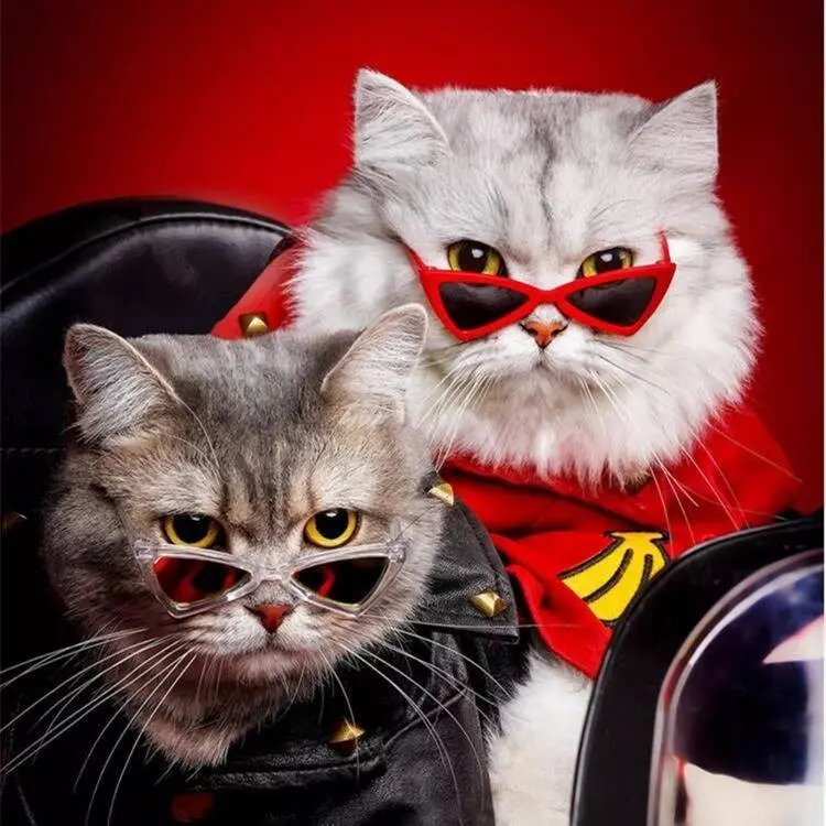 Pet Funny Glasses Personalized Sunglasses for Dog Cat