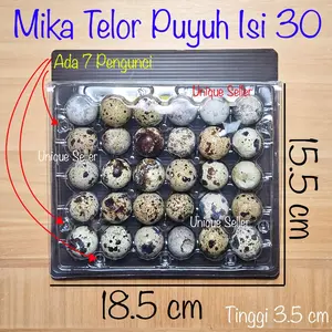 [Isi50] Mika Telor Puyuh isi 30 dengan Pengunci Tebal / Mika Tray Tempat Telor Puyuh isi 30 dengan Kancing Pengunci / Mika Tray 30 Telor Puyuh / Wadah Telor Puyuh isi 30 / Mika Tray Telor Puyuh isi 30