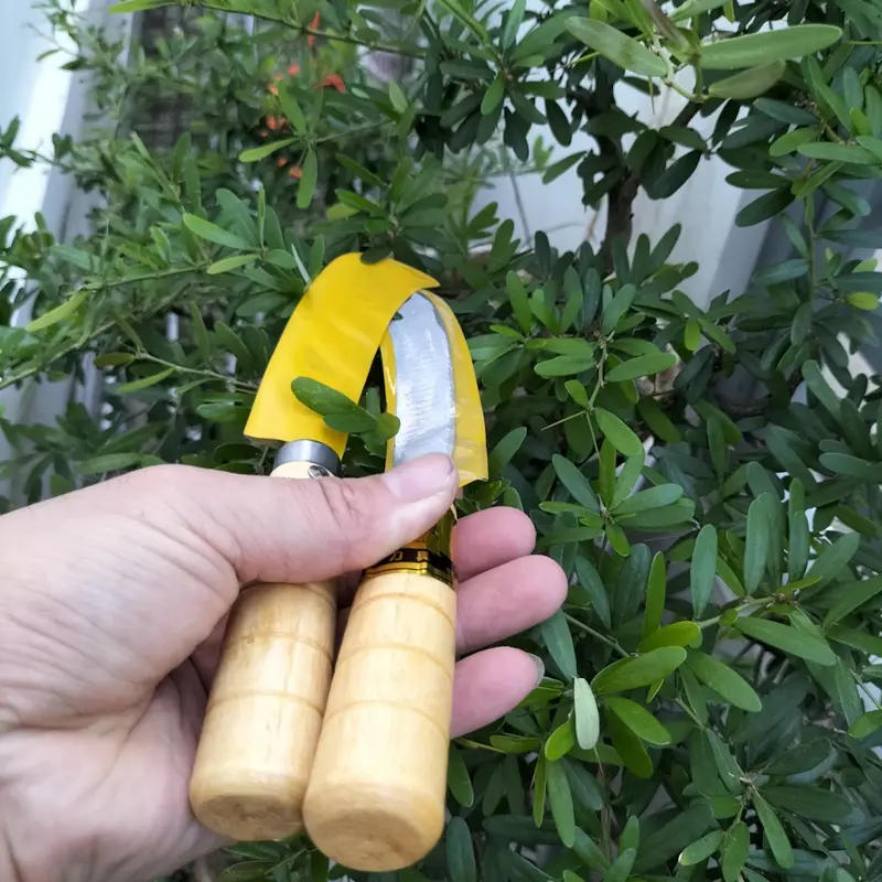 dụng cụ làm vườn, dụng cụ rửa cây dừa, dọn vườn chuối 3