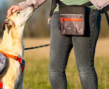 iEnergy ELI belt pouch keeps treats within easy reach, making it ideal for dog or horse training. The main pocket remains open while in use for convenient access while training.