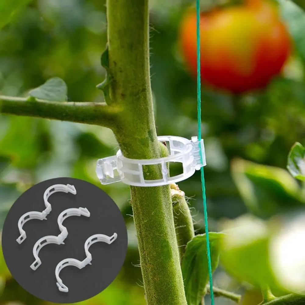 Plant Fixing Clip Garden Tool Plant Growth Clip Hanger Grafting Clip With Tomato Vine Clip R2O8