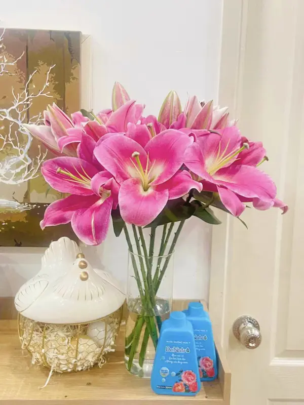 Nước dưỡng hoa Dr Natro - Giữ hoa tươi lâu 3 - 4 tuần - Màu sắc hoa bền đẹp gấp 3 - 5 lần - Chai 300ml (tặng 1 gói dưỡng hoa size nhỏ ) 8