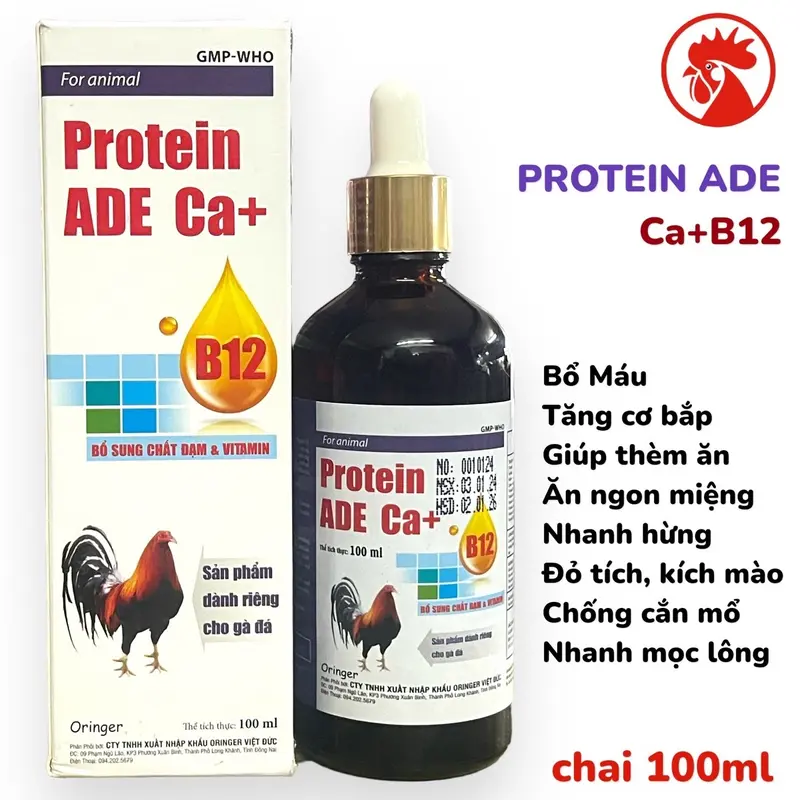 Protein ADE Ca+B12 (100ml) uống nuôi dùng cho đá, mau lên cơ, tăng bo, lì đòn, hừng hực, sung , tăng đề kháng  vào chế độ tốt.  nuôi tổng hợp cho gà tơ xung căng 0