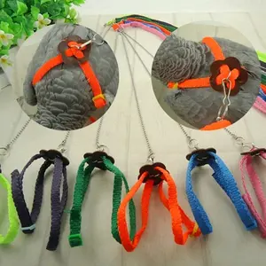 Harness Burung Parrot