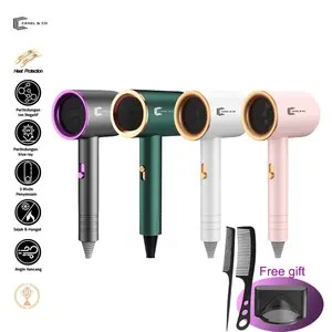 CANEL & CO Hair dryer  professional perawatan salon alat pengering rambut 4in1