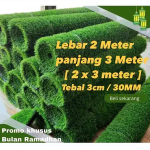 Rumput Sintetis Swiss Premium 3cm 2 x 3 Meter Hemat Harga Kuat Tahan Lama Tampilan Alami Mudah Dibersihkan Tahan Api Promo Khusus Bulan Ramadhan