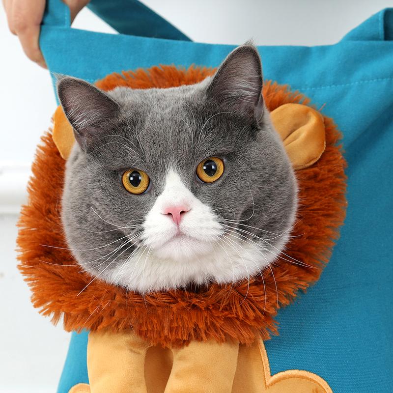 Product Introduction of Pet Canvas Shoulder Bag Lion shaped Cat Tote Bag Comfortable Pet Tote Bag Pet Shoulder Bag Portable Outdoor Cat Tote Bag 35