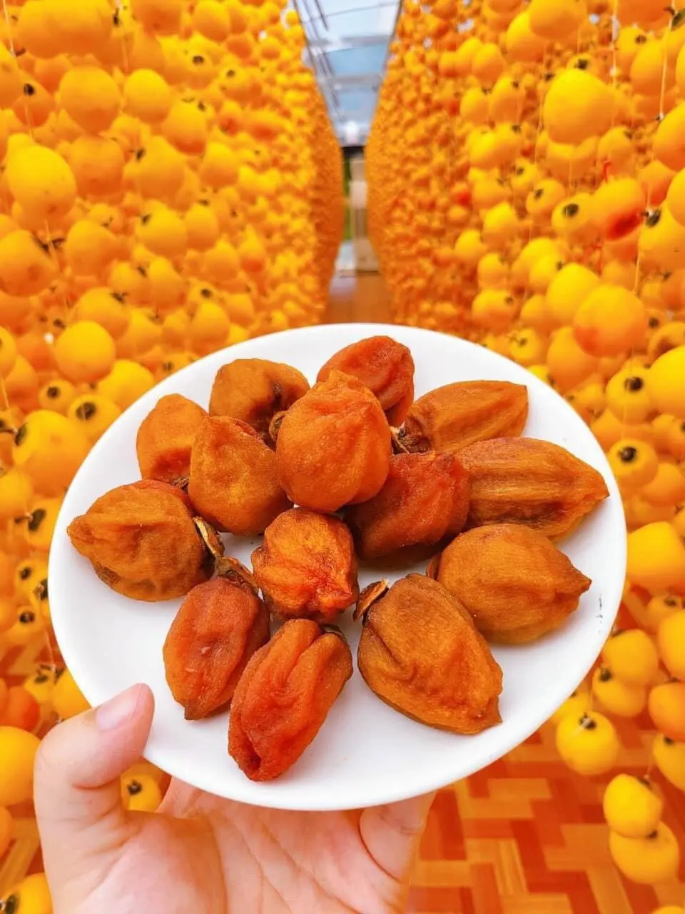 Hồng Treo Gió Đà Lạt Công Nghệ Nhật Bản (Túi hút chân không 500gr)