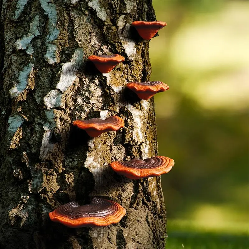 Faux Ganoderma Tree Hanging Ornament, Resin Decoration, Outdoor Garden & Courtyard Decoration, Home Decor 4