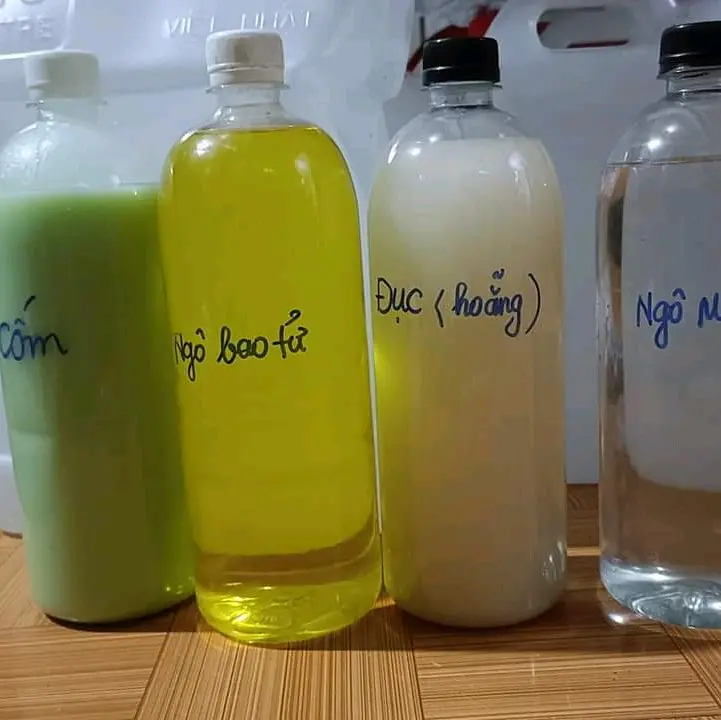 Sinh tố men lá Ngô Bao tử 5L+1L 6