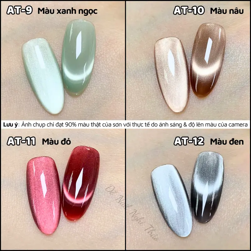 Sơn gel mắt mèo ánh trăng cực quang RAMYLA 5