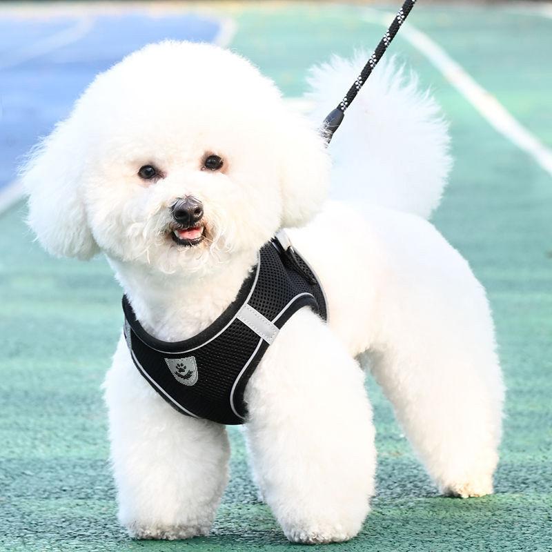 Product Introduction of Dog Leash Vest Dog Leash Small Dog Bear Teddy Special Chest Strap Dog Chain Adjustable Telescopic 4