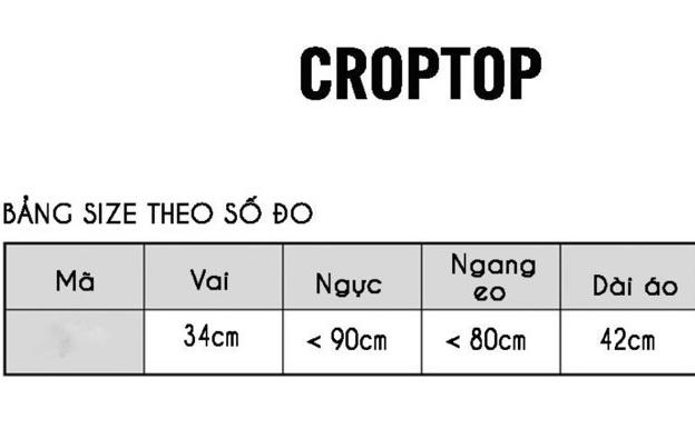 Product Introduction of Áo cổ lọ tay dài croptop xinh 0