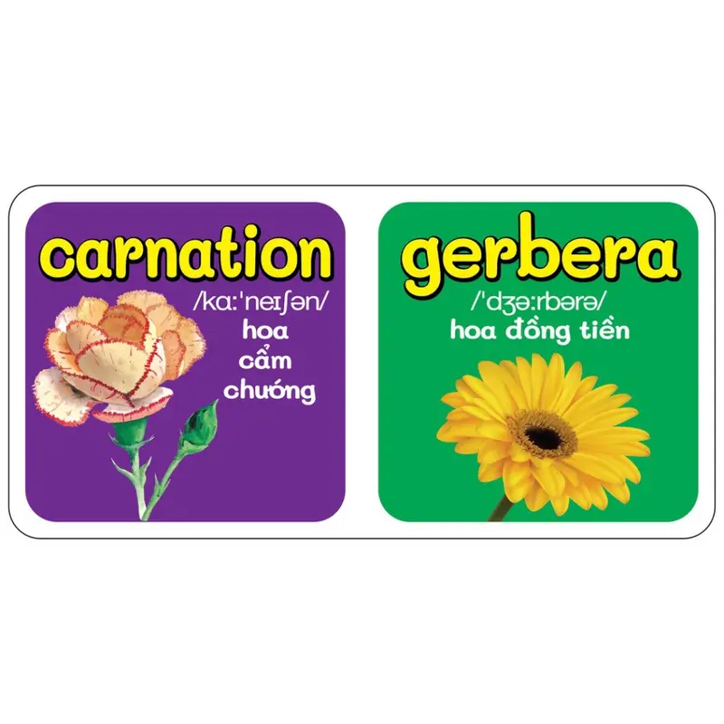 Sách - Trọn Bộ 9 Quyển Từ Điển Bằng Hình Đầu Tiên Của Bé Từ 0-6 tuổi - Anh- Việt (Các trang đều là Bìa Cứng -HỒNG) 5