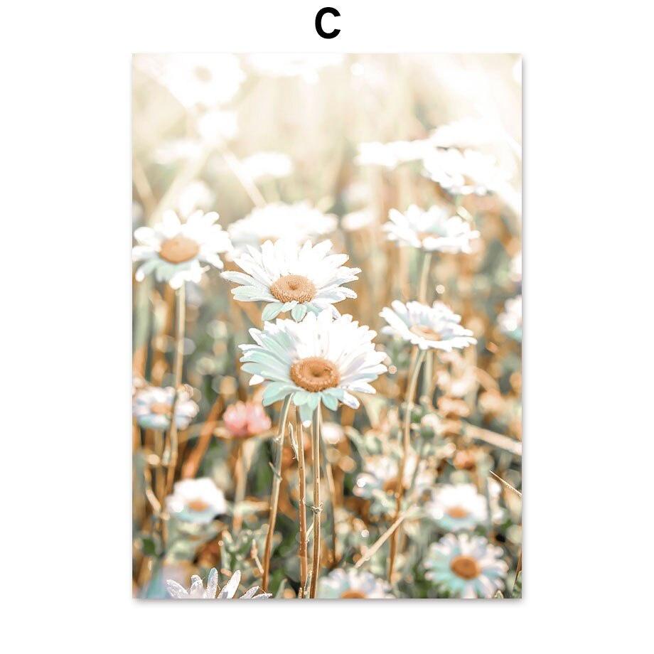 C