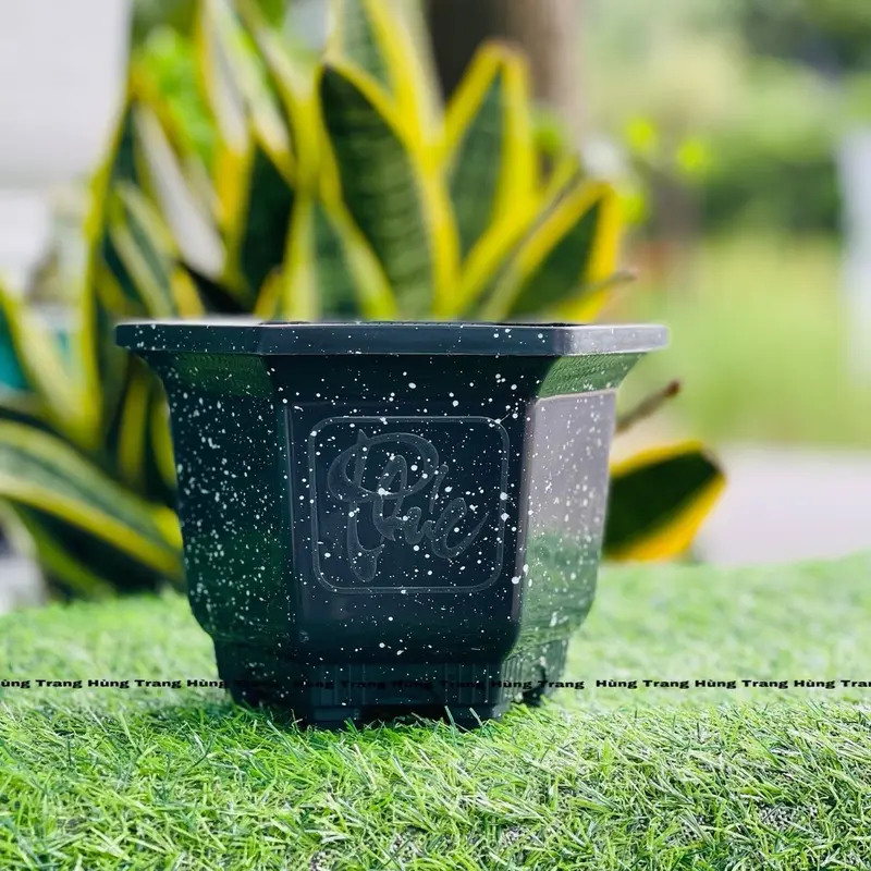 [Combo 10 cái ] Chậu Nhựa Lục Giác 210 (Miệng 23cm x Cao 15cm) - Chậu Cảnh 3