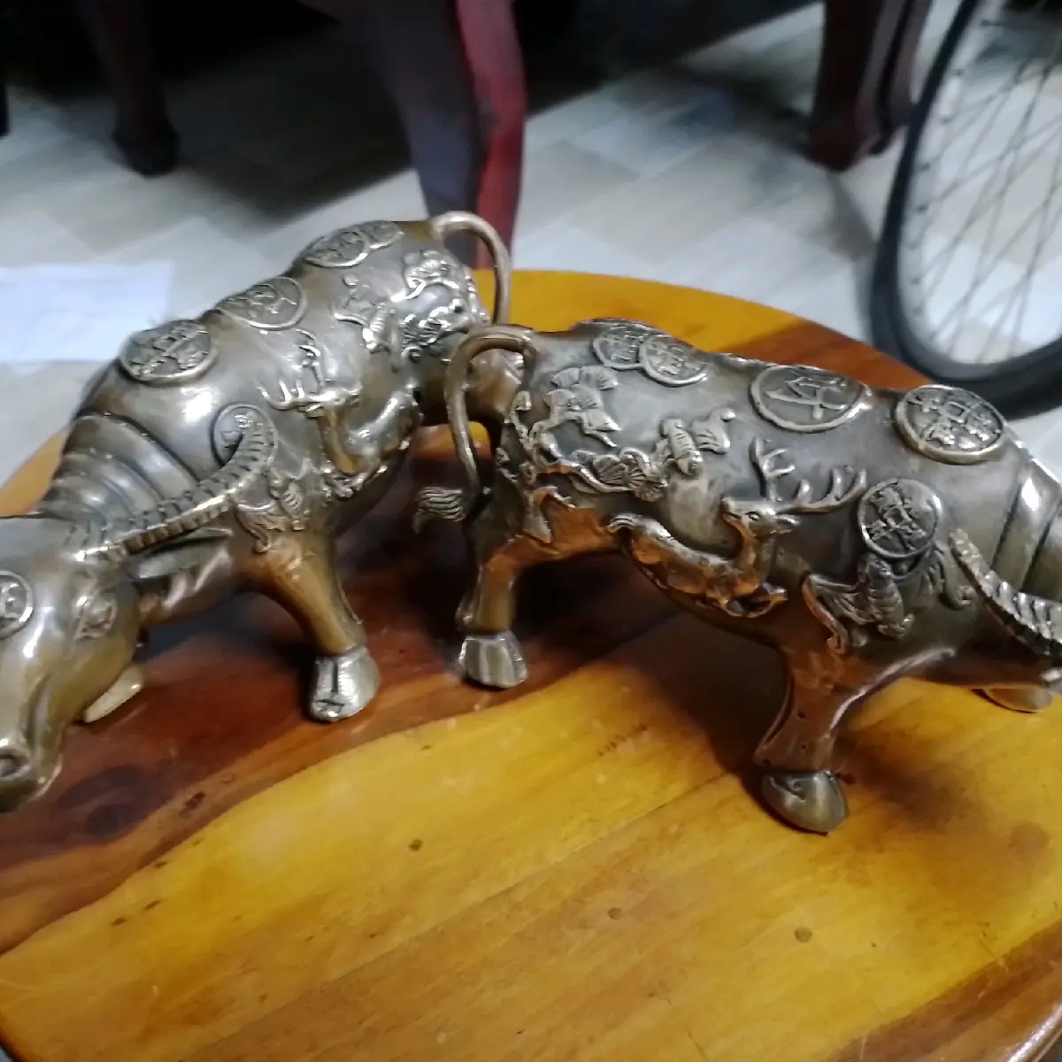 cặp trâu đồng