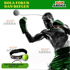 Boxing Reflex Ball Training