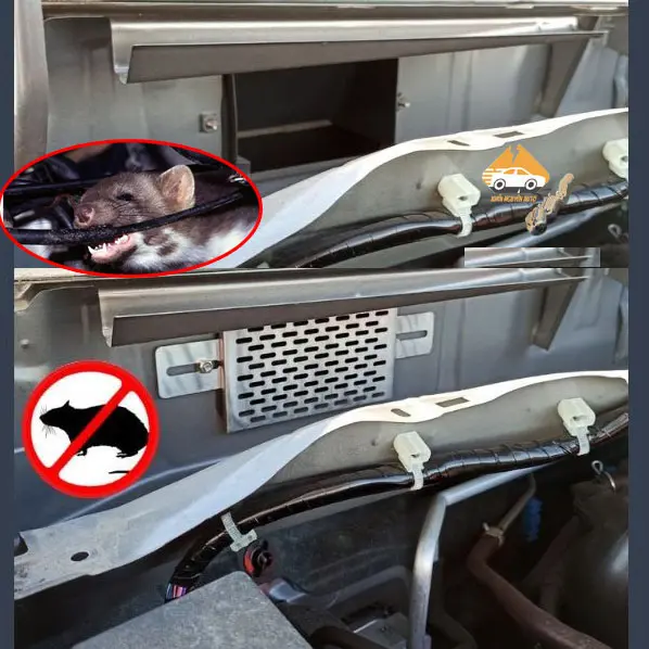 Tấm lưới chống chuột inox 304 cho các dòng xe ô tô tặng kèm lục vặn - ngăn chuột vào khoang Nội Thất Hiệu Quả Nhang 6