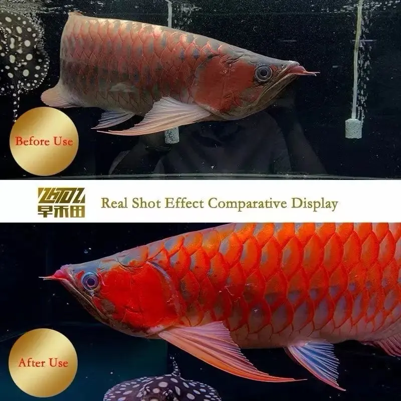 ĐÈN SOLAR COLOR CHO CÁ LÓC CÁ RỒNG -Neo Helios Solar Color Booster RGB. Chuyên dùng cho Cá Lóc Cảnh,cá rồng… và các loại cá khác. 3