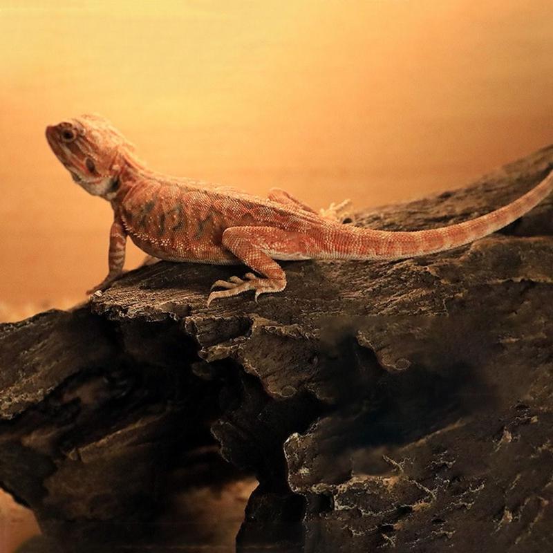 Product Introduction of Spider Hiding House Decorative Lizard Hideout Cave Resin Tree Bark Turtle Climbing Platform Simulation Reptile Log Hideaway Snakes 7