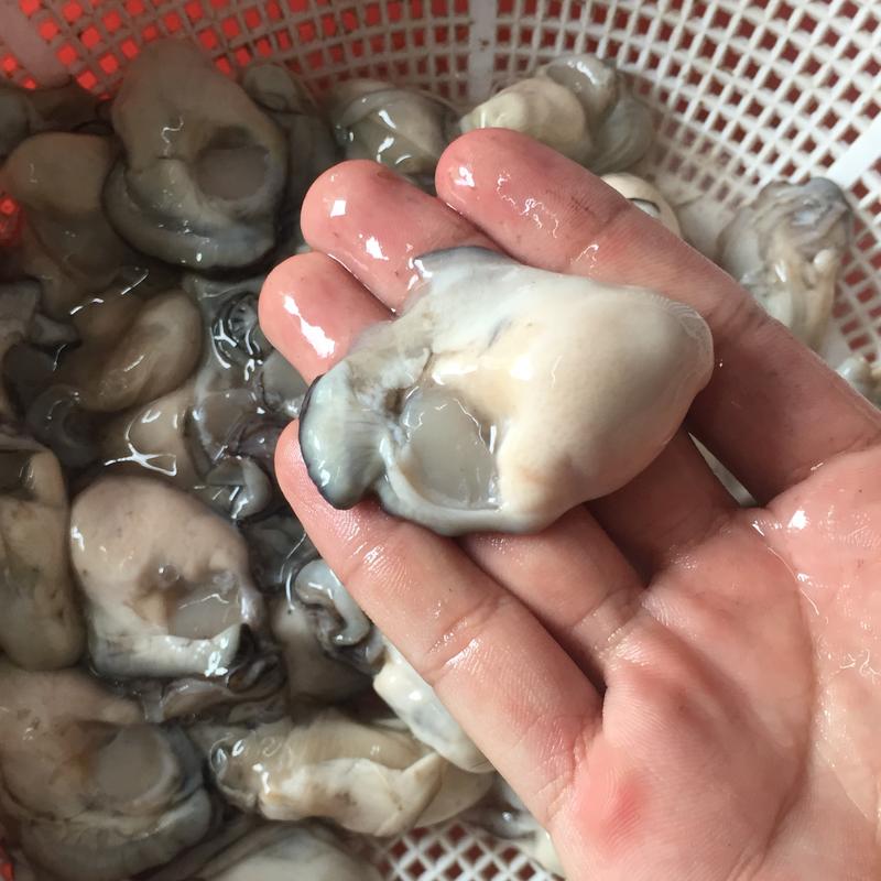 Ruột Hàu Sữa Tươi (500gr) - Hải sản Kỳ Hà