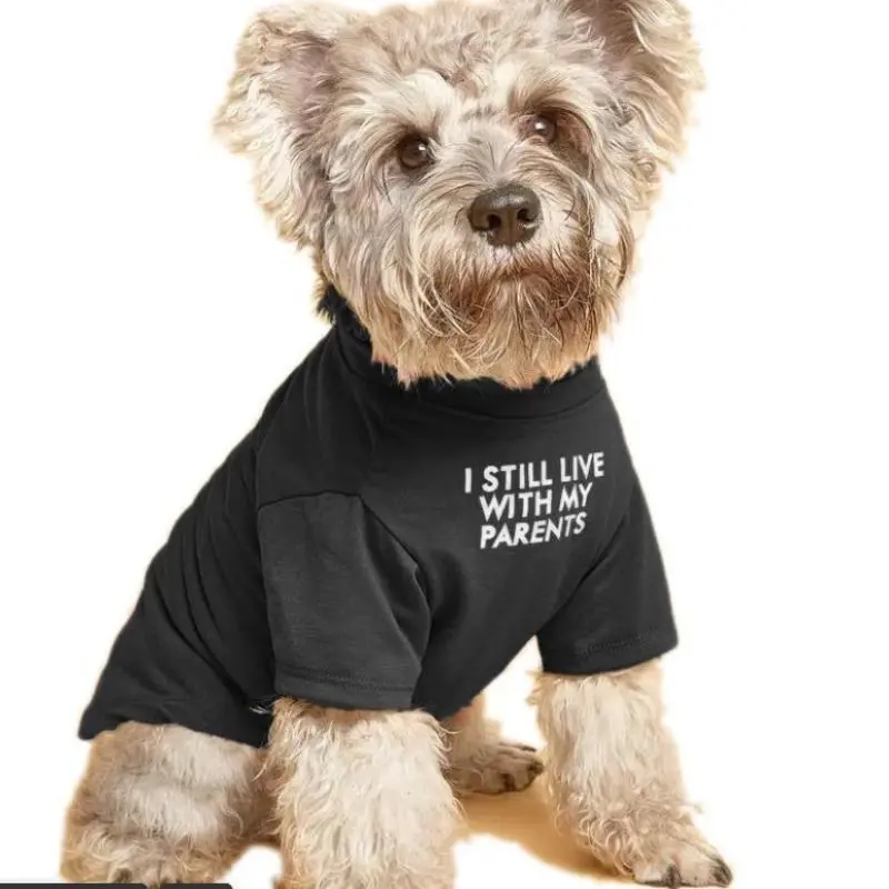 I Still Live with My Parents Letter Print Pet Clothes, 1 Count Funny Creative Pet Clothes, Pet Clothes for Dogs 8
