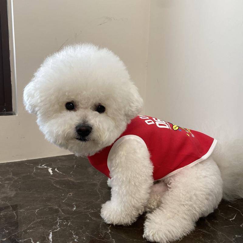 Product Introduction of Spring and Summer Puppy Dog Pet Clothes Cat Vest Pomeranian/Bichon Frise Teddy Schnauzer Handsome Thin Small Dog 5
