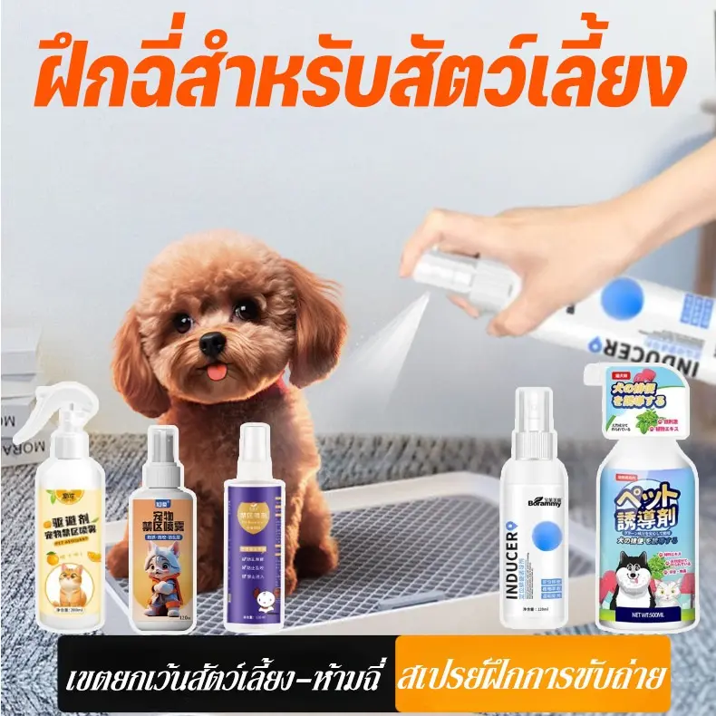 สเปรย์ฝึกการขับถ่าย 120ml ให้ฉี่ ห้ามฉี่ สำหรับสัตว์เลี้ยง ปลอดภัยไร้สารตกค้าง สเปรย์ฉีดบริเวณปัสสาวะแมว