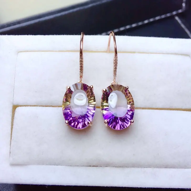 Hoa Tai Màu Tím Pha Lê Đơn Giản, Kim Bạc Mới, Giá Cả Phải Chăng, Thời Trang Cá Tính số lượng ít, Cao Cấp Và Thanh Lịch, Thời Trang Cổ Điển Hoang Dã, Được 731 Người Vinh Danh 3