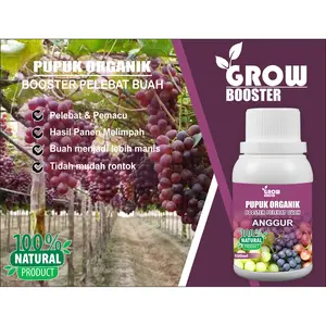 GROWBOOSTER - Pupuk Buah Anggur Kemasan 100ml | Pupuk Organik Cair Anggur | Pupuk Anggur Bunga Daun Tanaman Alami