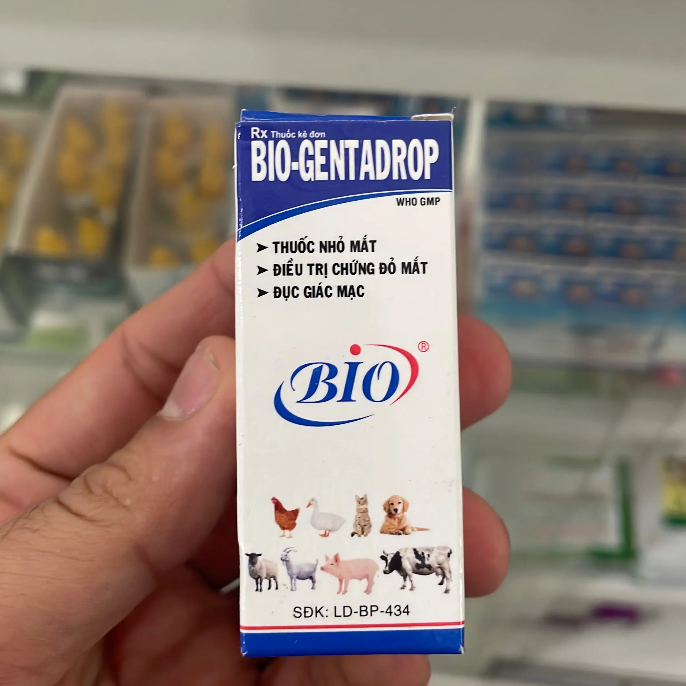 1 lọ thuốc nhỏ mắt trị đỏ mắt, đục giác mạc, viêm tuyến lệ trên chó, gà, vịt, mèo, gia súc (bio gentadrop) dạng lỏng 10ml
