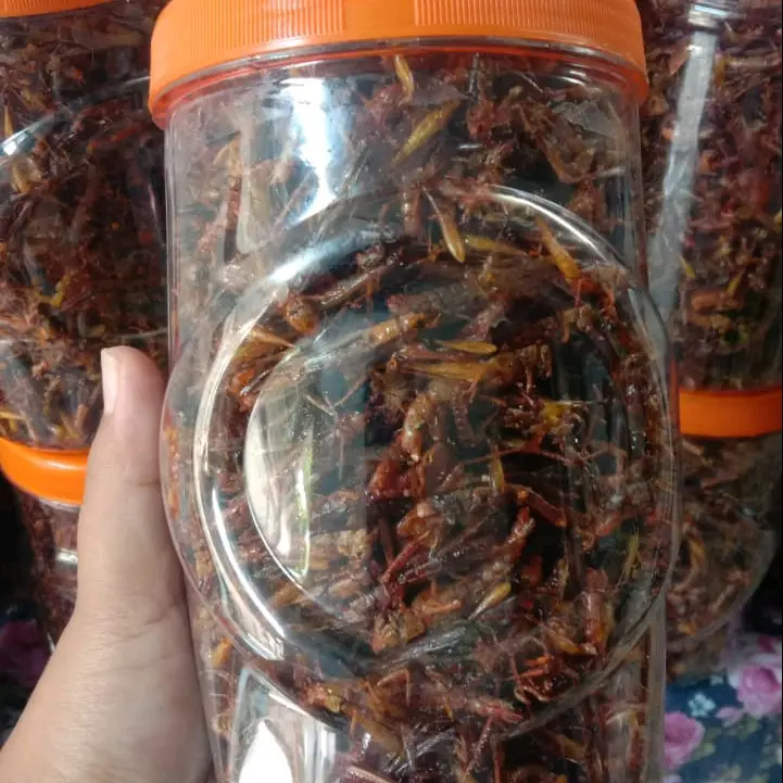 CEMILAN EXTRIM /WALANG/BELALANG GORENG TOPLES PANJANG 210 GRAM Rendah lemak 2