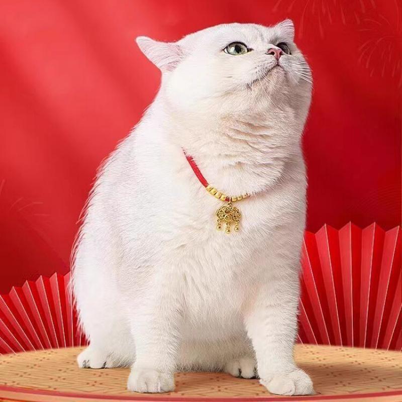 Vòng Cổ Thú Cưng, Vòng Cổ Khóa Tuổi Thọ Cho Mèo Và Chó, Vòng Cổ Độc Quyền Cho Thú Cưng Dễ Thương, Hàng Mới Về 2025, Vòng Cổ Mèo lục  lạc  cho  cún  chó dây  xích  chó  lớn chuông  đeo  cổ  chó dây  xích  chó removable  collar 4