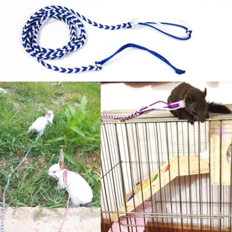 Dây Xích Hamster Thú Cưng, Chất Liệu Nylon, Chất Lượng Cao, Dây Xích Đi Bộ Có Thể Điều Chỉnh 1,4m, Thích Hợp Cho Thỏ Và Chuột Hamster, Dây Xích Vòng Cổ 3