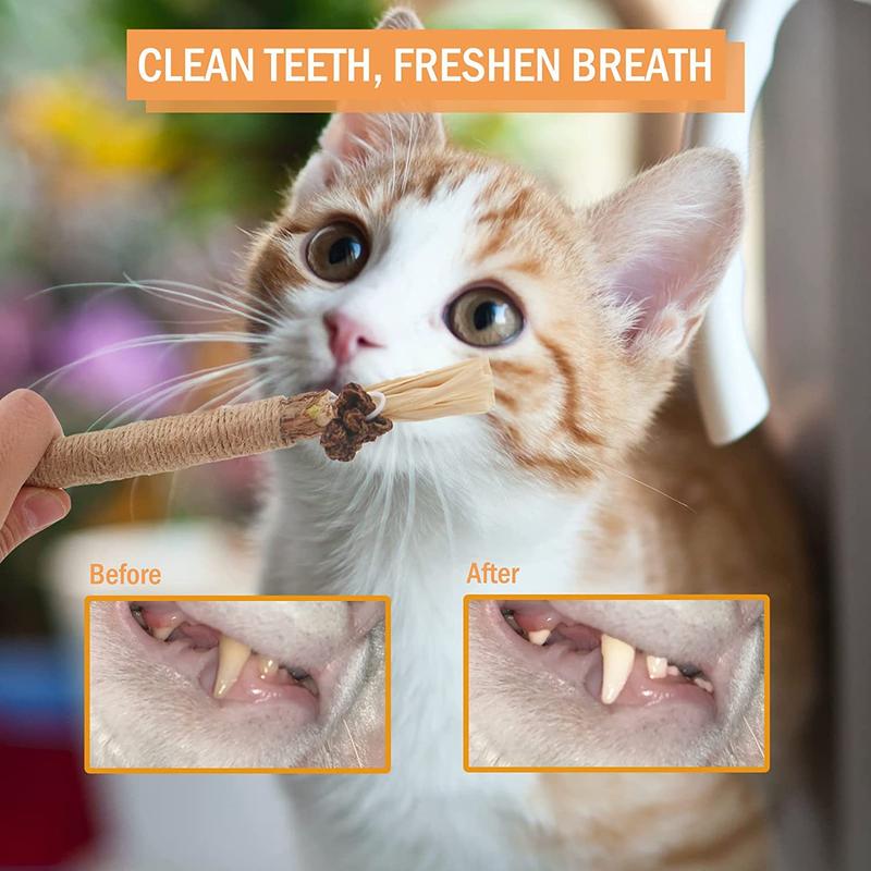 Product Introduction of Wooden Polygonum Stick Bite Combination New Cat Toy Teeth Grinding Tooth Cleansing Removal Fresh Breath 2