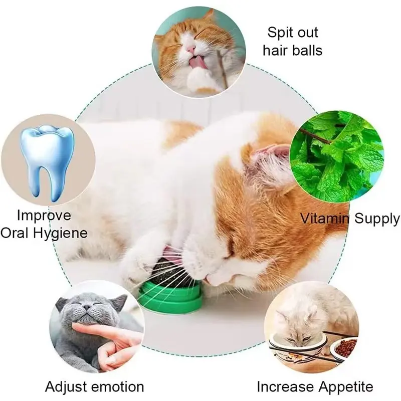 READYYY STOKK Bola Catnip Kucing Alpukat Rotating Mainan Catnip Balls Cat Mint Ball Makanan Hewan Berputar CATNIP PERMEN 3