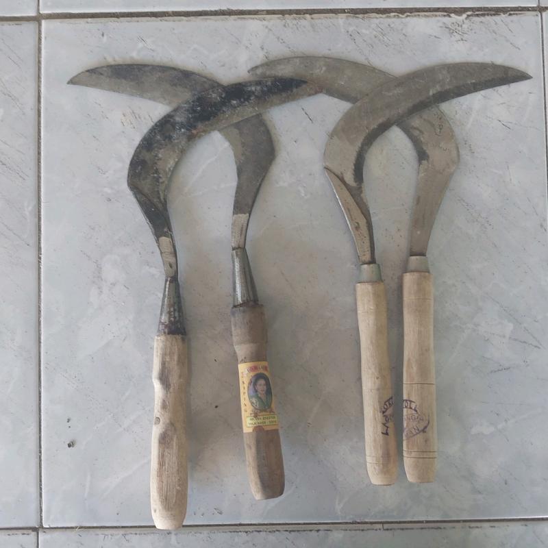 Sabit/arit  mamik dan joko tole cocok untuk ngarit/potong rumput dan padi 0