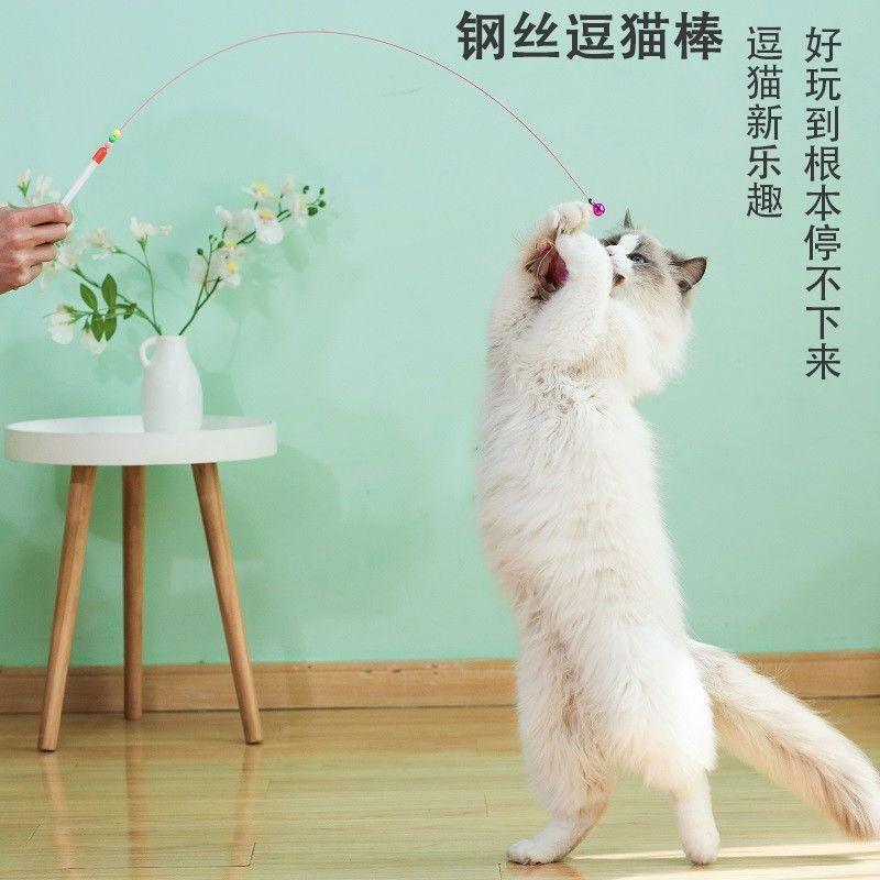 Product Introduction of Đồ Chơi Mèo, Thiết Kế Hình Mèo Vui Nhộn Dụng Cụ Hữu Ích, Có Lông Vũ Và Chuông, Que Vít Thép Siêu Dài, Đầu Trêu Chọc Mèo, Có Thể Nạp Lại, Giảm Tương Tác, Bán Chạy Trong 30 Ngày, 4931 Mảnh 6