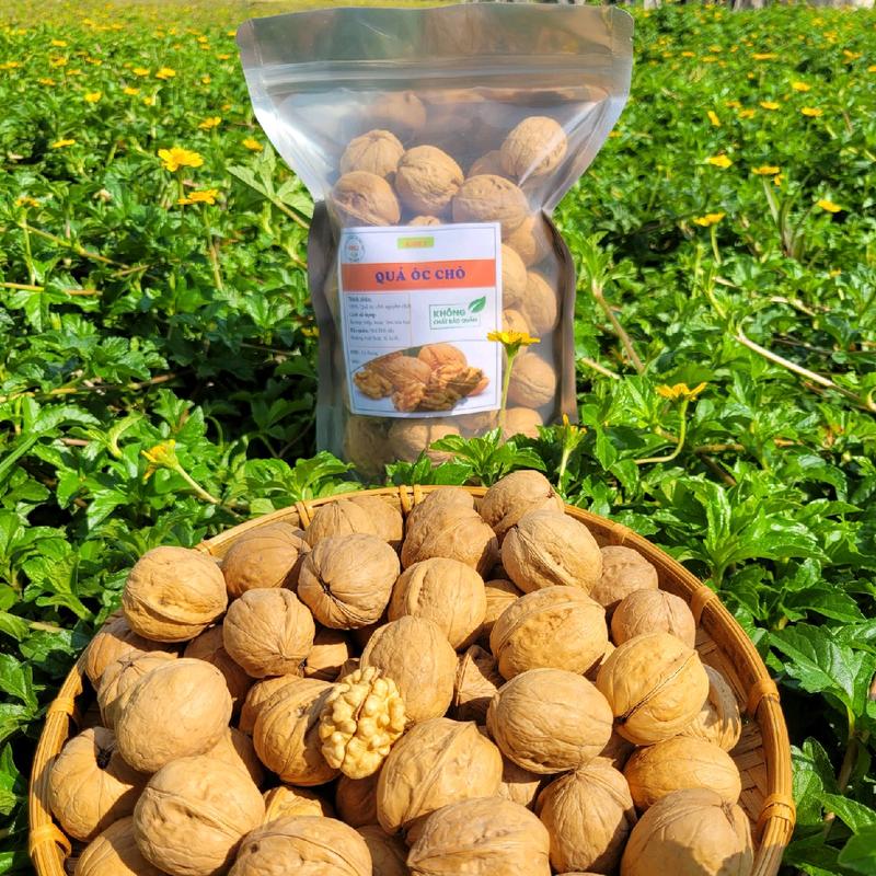  QUẢ ÓC CHÓ BÉO NGẬY  tặng dụng cụ tách vỏ  Ăn Vặt Nuts Food 