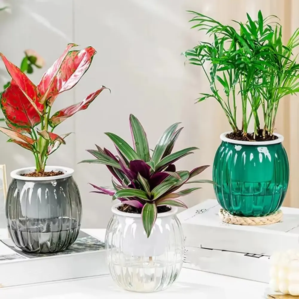 Chậu Cây Thủy Canh Tự Tưới Nước, Thiết Kế Sáng Tạo, Chất Liệu Nhựa, Lọ Hoa Có Thể Tháo Rời Thích Hợp Cho Cây Mọng Nước Mini, Chậu Trồng Cây