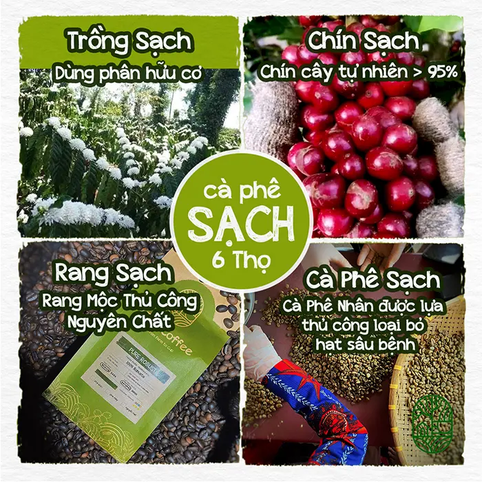 [GU CÁ TÍNH] Cà phê Sạch Nguyên Chất Blend Robusta Arabica Culi theo yêu cầu 6Thọ Coffee Cà Phê 7