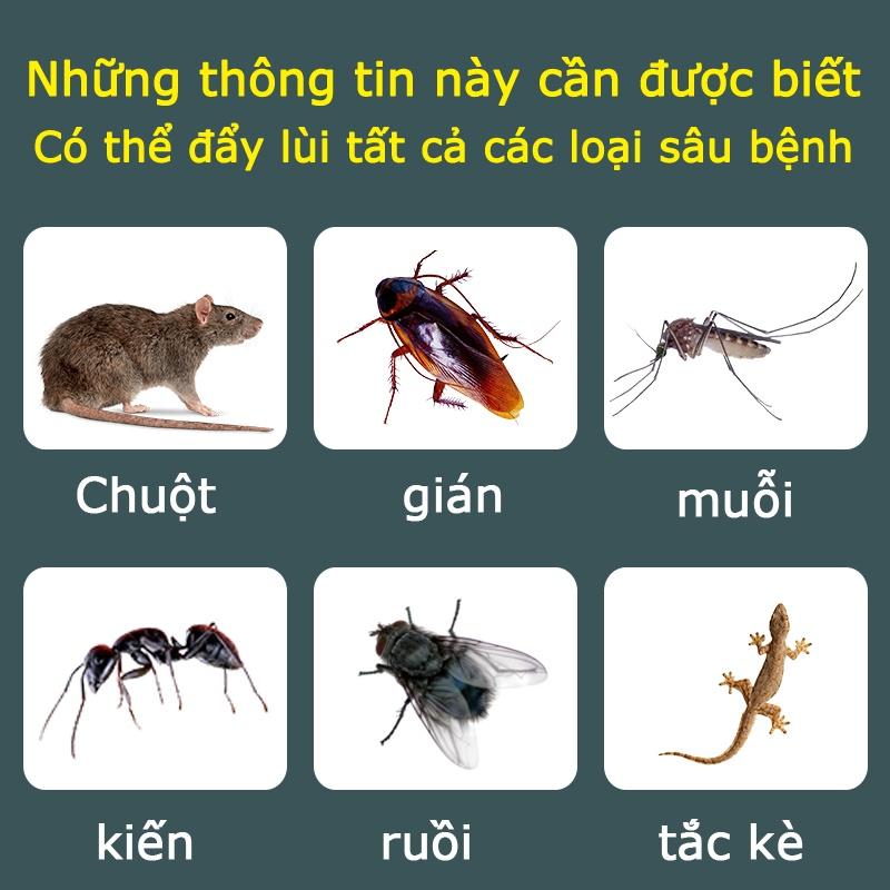 Băng Phiến SHANGMING Xua Đuổi Chuột Nhang đuổi chuột và gián, thuốc diệt chuột trong nhà - 99 năm Không có chuột 6