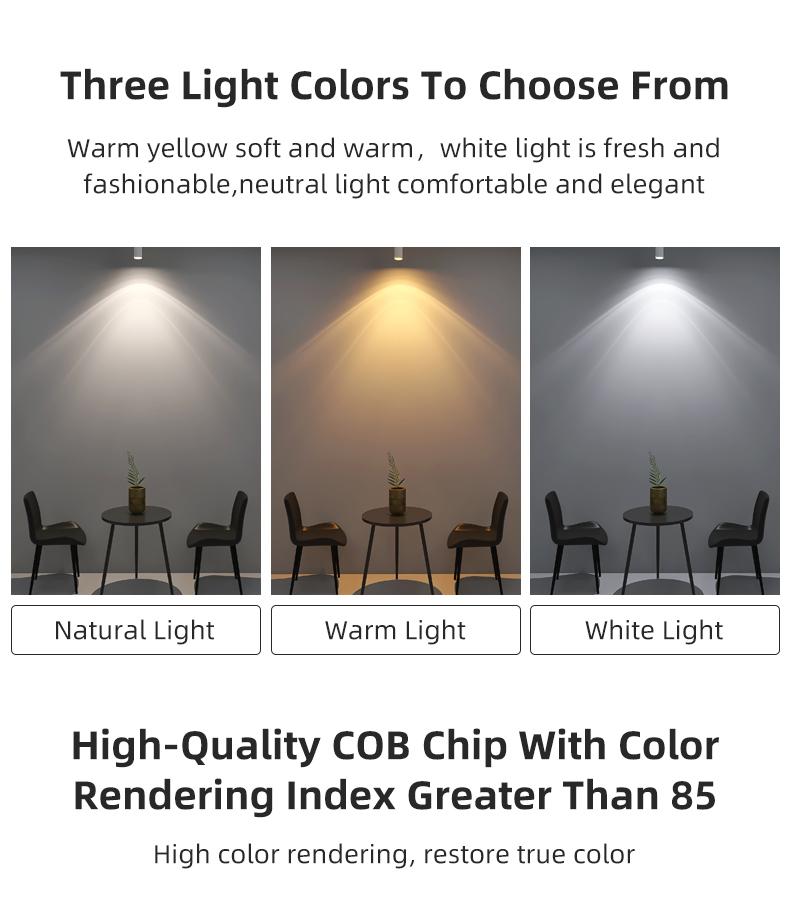 Product Introduction of Tenchamp LED Track Light 15W 20W 25W Spotlight Ceiling Lighting 220V COB Track Light Black White Spotlight 26